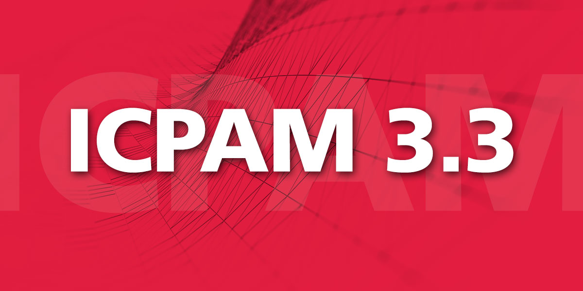 ICPAM 3.3